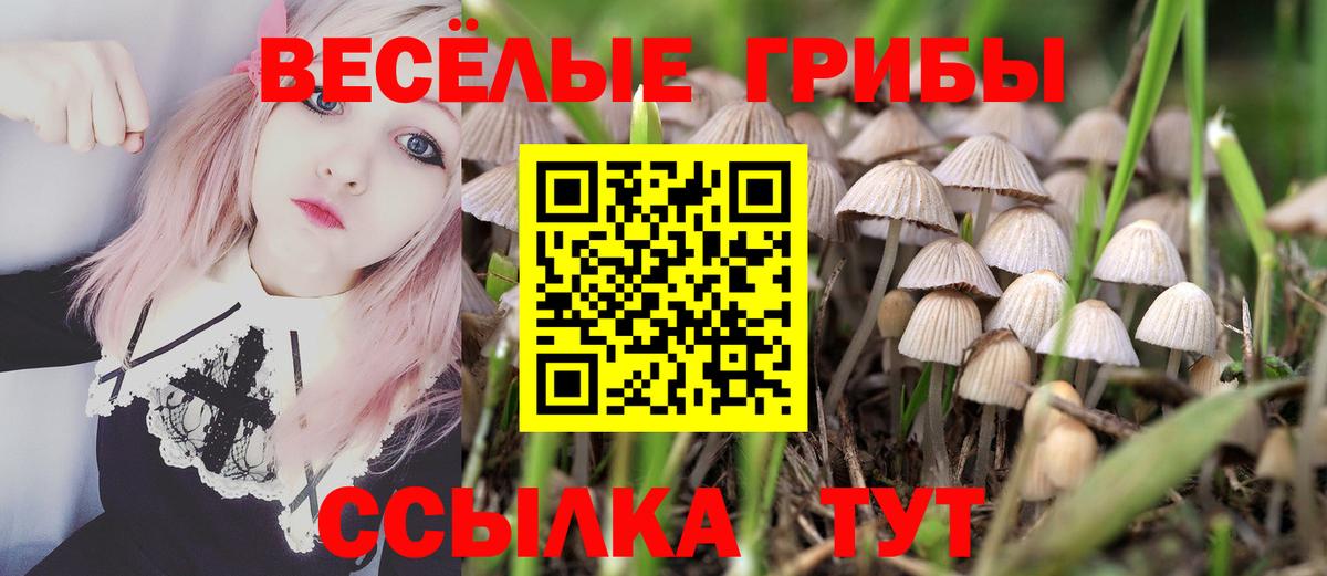 Аксай  Псилоцибиновые грибы Magic Shrooms  Вход с VPN 